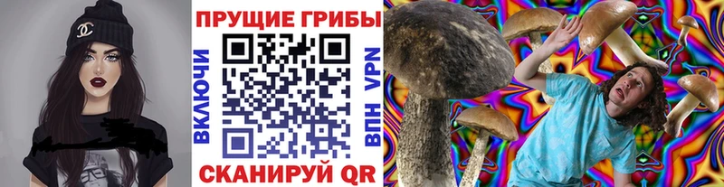 Псилоцибиновые грибы Magic Shrooms  Лаишево 